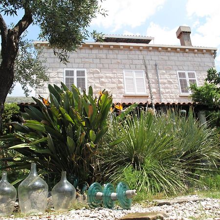 Guest House Maria Bilicic Dubrovník Exteriér fotografie